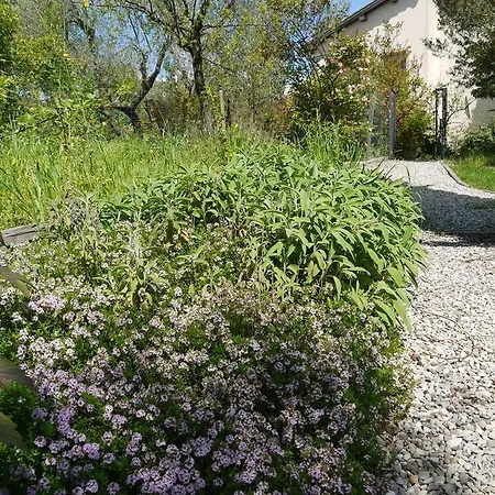 Vakantieboerderij La Vita Verde Podere Biosostenibile *