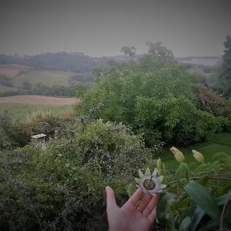 La Vita Verde Podere Biosostenibile Vakantieboerderij Monteriggioni