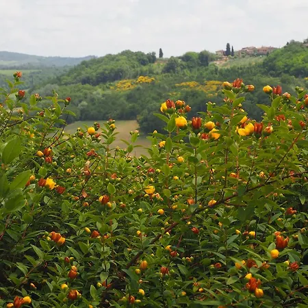 La Vita Verde Podere Biosostenibile Monteriggioni