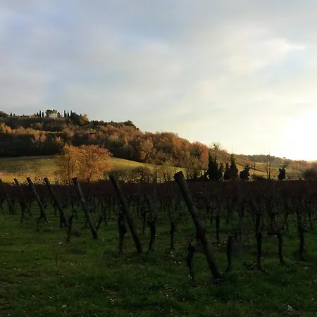 La Vita Verde Podere Biosostenibile Monteriggioni