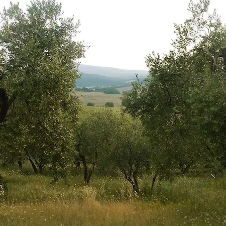 La Vita Verde Podere Biosostenibile Vakantieboerderij Monteriggioni