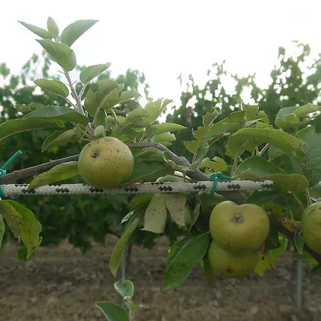 La Vita Verde Podere Biosostenibile