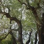 La Vita Verde Podere Biosostenibile مزرعة للإقامة مونتيريجيوني