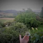La Vita Verde Podere Biosostenibile مزرعة للإقامة مونتيريجيوني