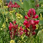 La Vita Verde Podere Biosostenibile *