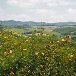 La Vita Verde Podere Biosostenibile