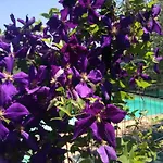 La Vita Verde Podere Biosostenibile * مونتيريجيوني