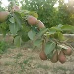 مزرعة للإقامة La Vita Verde Podere Biosostenibile