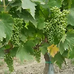 La Vita Verde Podere Biosostenibile *