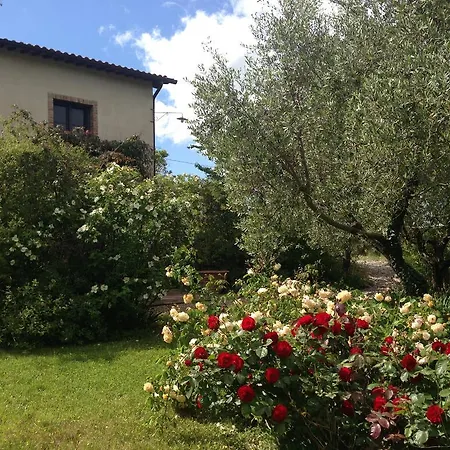 La Vita Verde Podere Biosostenibile مونتيريجيوني