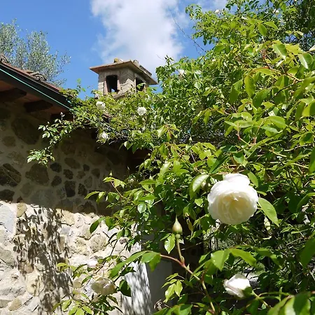 La Vita Verde Podere Biosostenibile مزرعة للإقامة مونتيريجيوني